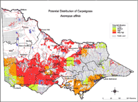 Map: Potential distribution of Carpet Grass