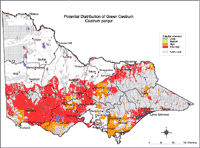 Map: Potential distribution of Chilean Cestrum