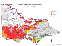 Map: Potential distribution of Chilean Ricegrass