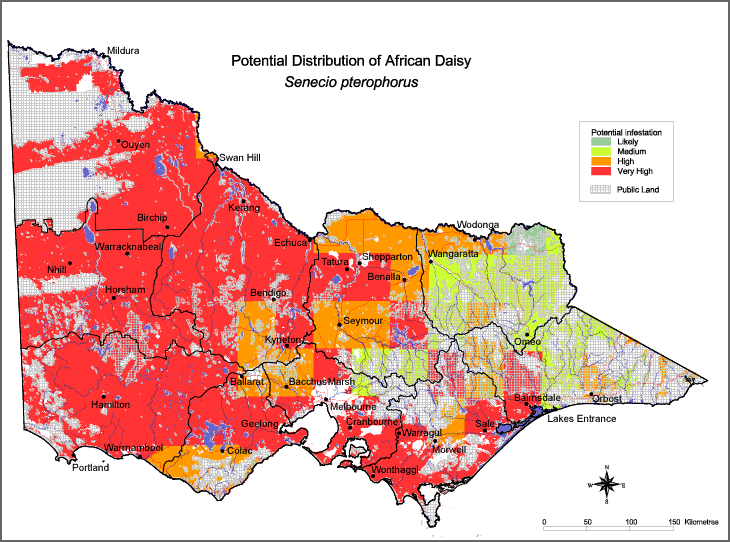 Map:  Potential distribution - African Daisy