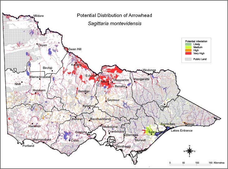 Map:  Potential distribution - Arrowhead