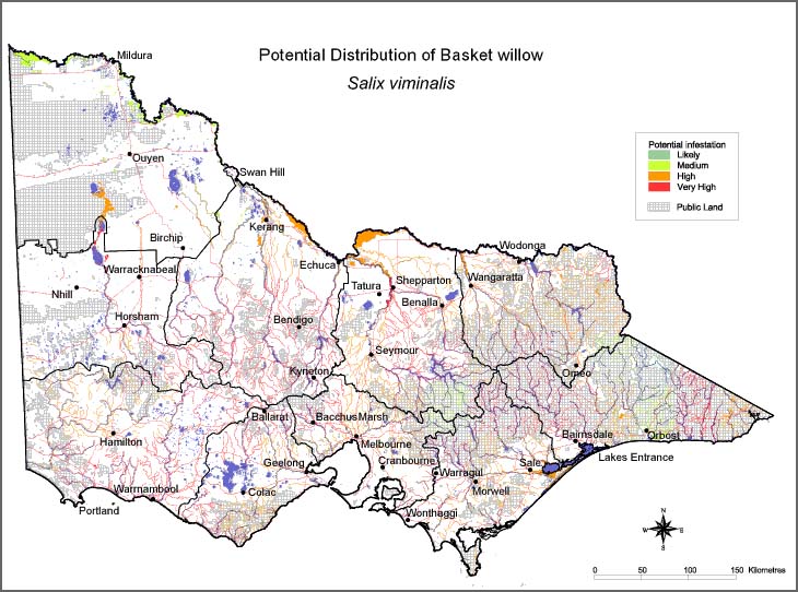 Map:  Potential distribution - Basket Willow