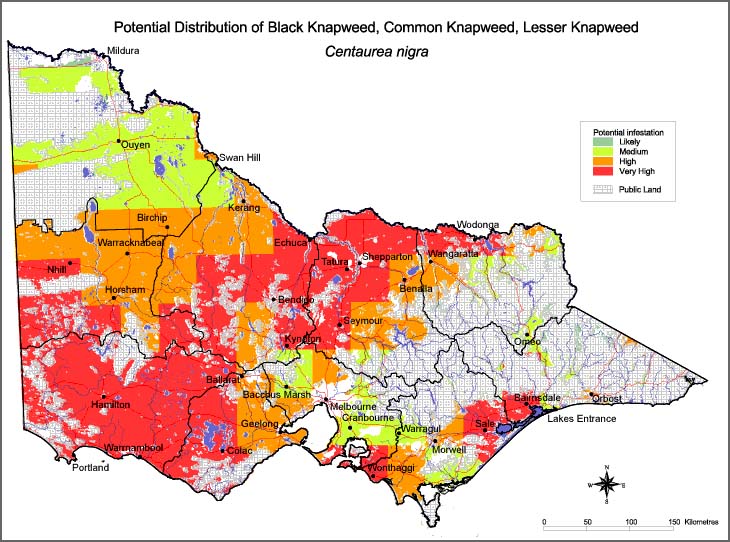 Map:  Potential distribution - Black Knapweed