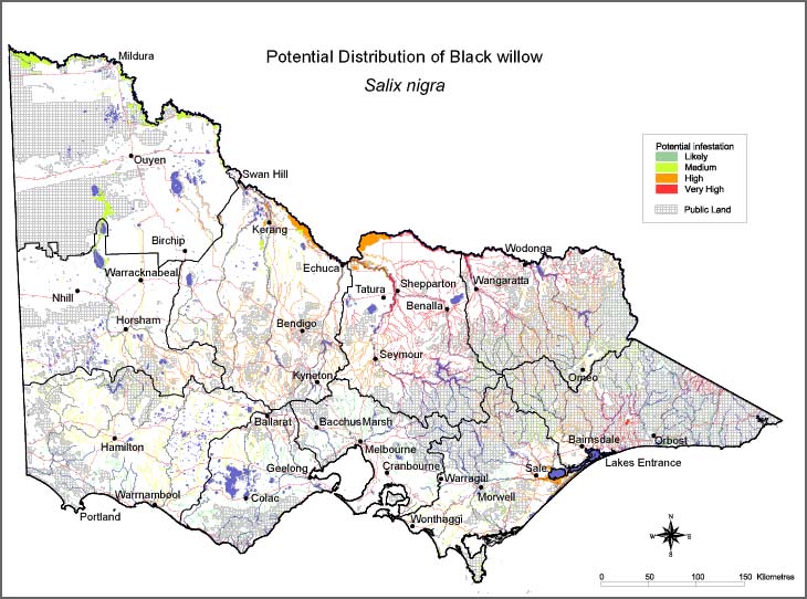 Map:  Potential distribution - Black Willow