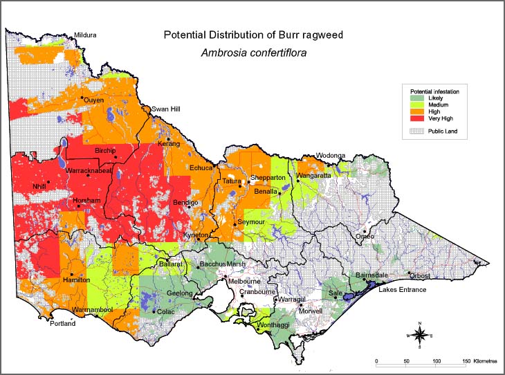 Map:  Potential distribution - Burr Ragweed