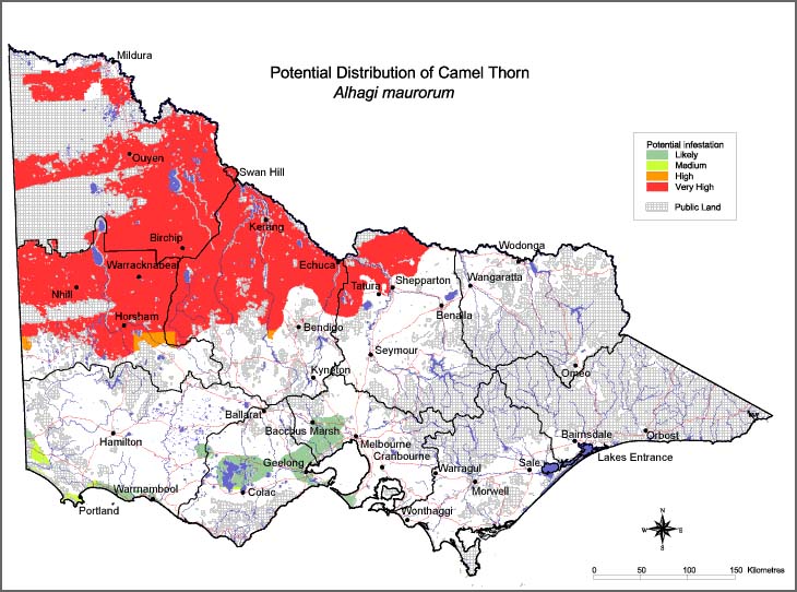 Map:  Potential distribution - Camelthorn
