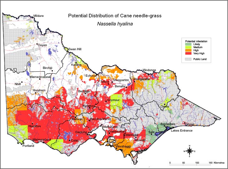 Map:  Potential distribution - Cane Needlegrass
