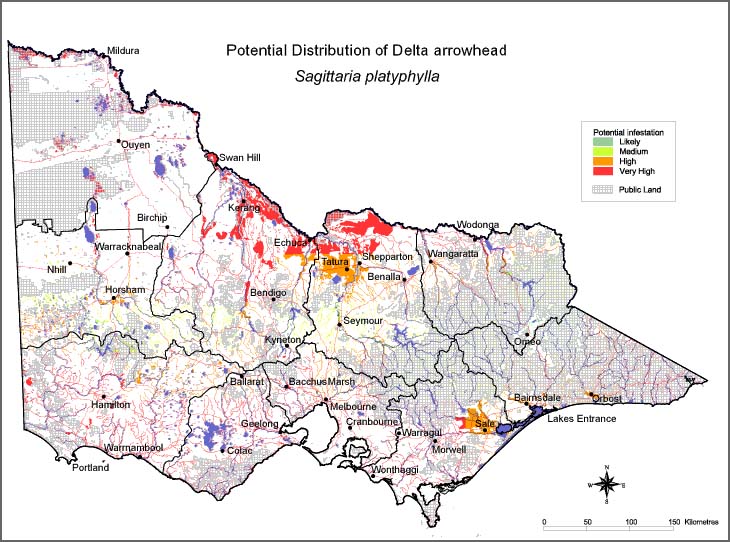 Map:  Potential distribution - Delta Arrowhead