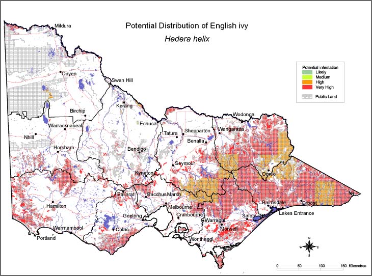 Map:  Potential distribution - English Ivy