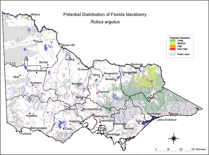 Map:  Potential distribution - Florida Blackberry