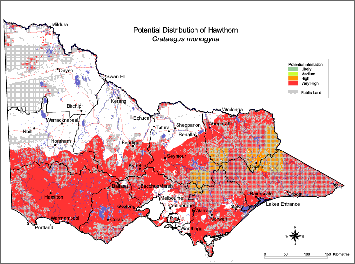Map:  Potential distribution - Hawthorn