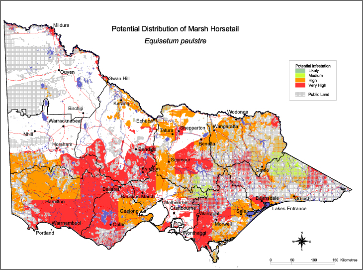 Map:  Potential distribution - Marsh Horsetail