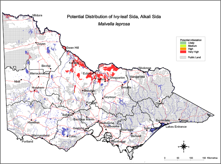 Map:  Potential distribution - Ivy Leaved Sida