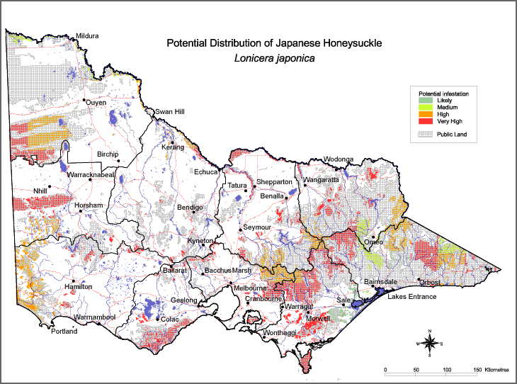 Map:  Potential distribution - Japanese Honeysuckle