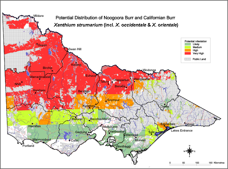 Map:  Potential distribution - Nooogoora