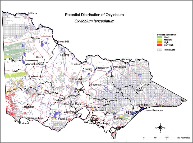 Map:  Potential distribution - Oxylobium