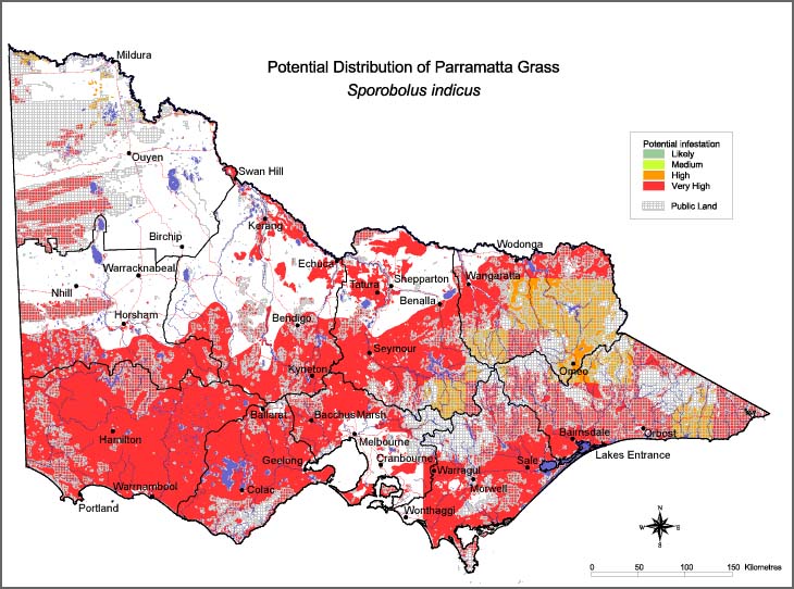 Map:  Potential distribution - Parramatta Grass