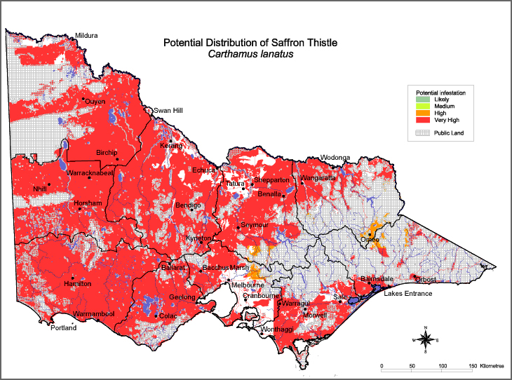 Map:  Potential distribution - Saffron Thistle