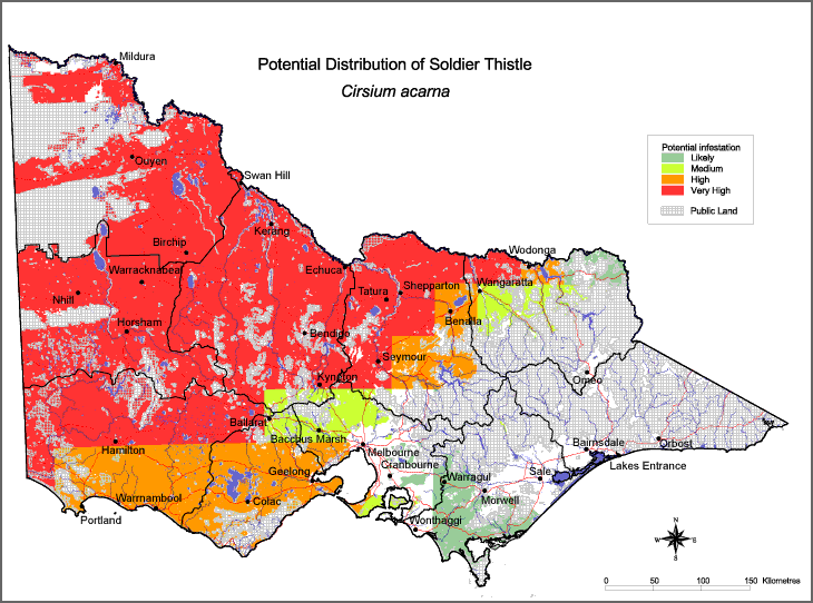 Map:  Potential distribution - Soldier Thistle