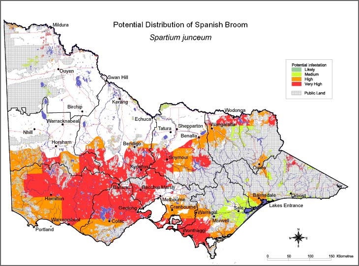 Map:  Potential Distribution Spanish Broom