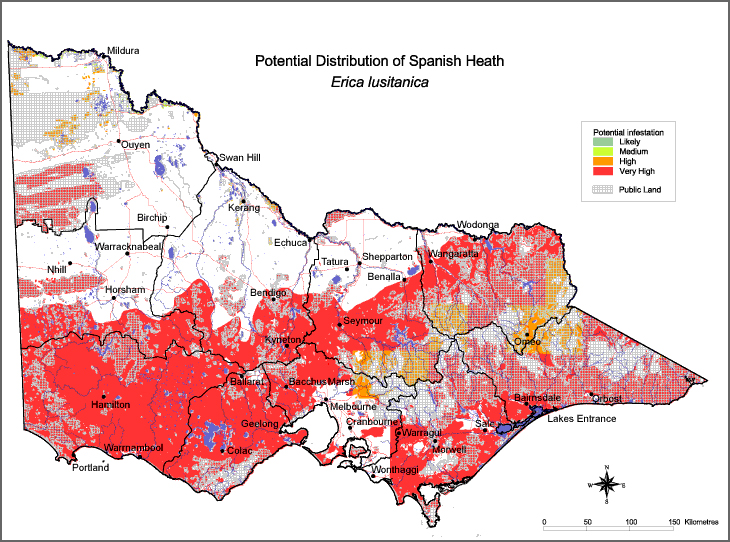 Map:  Potential distribution - Spanish Heath