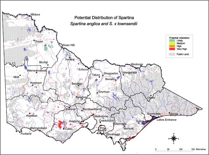 Map:  Potential distribution - Spartina