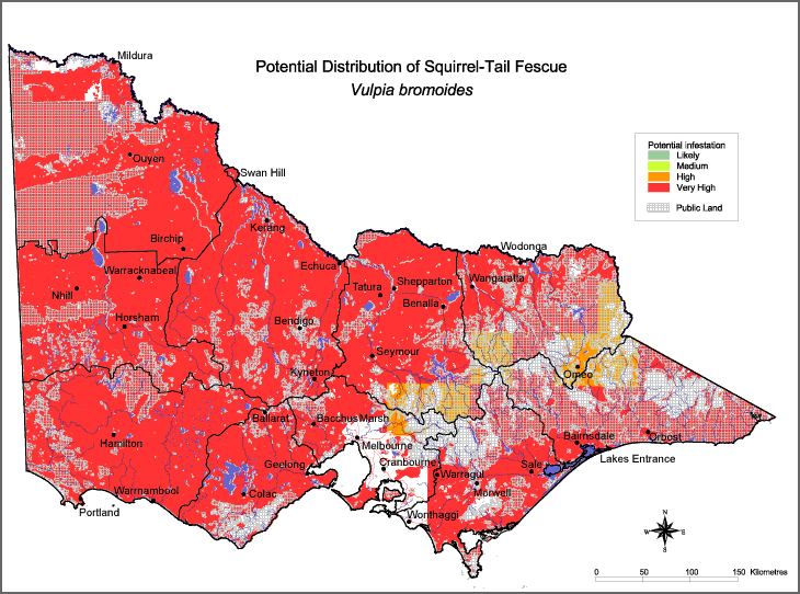 Map:  Potential distribution - Squirrel Tail Fescue