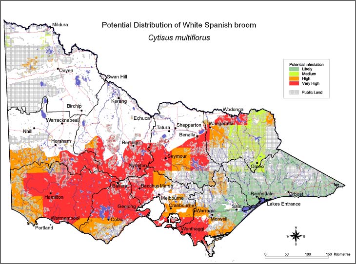 Map:  Potential distribution - White Spanish Broom