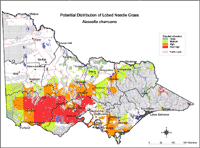 Map: Potential distribution of Lobed Needlegrass
