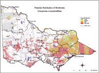 Map: Potential Distribution of Montbretia