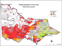 Map: Potential distribution of Onion Weed
