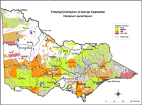 Map: Potential distribution of Orange Hawkweed