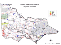 Map: Potential distribution of Oxylobium