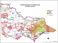 Map: Potential distribution of Pampas Grass
