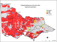 Map:  Potential distribution St John's Wort
