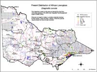 Map:  Present distribution African Lovegrass