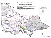 Map:  Present distribution Alligator Weed