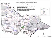 Map:  Present distribution Cane Needlegrass