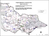 Map:  Present distribution Century Plant