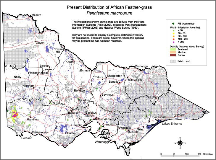 Map:  Present distribution - African Feathergrass