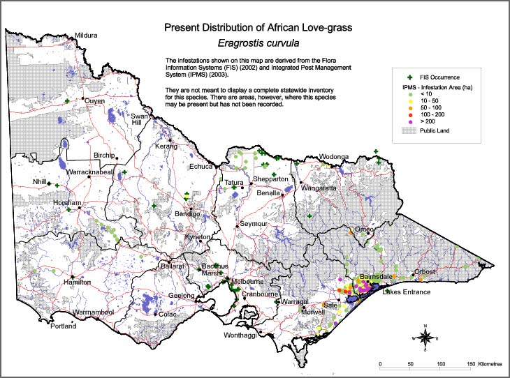 Map:  Present distribution - African Lovegrass