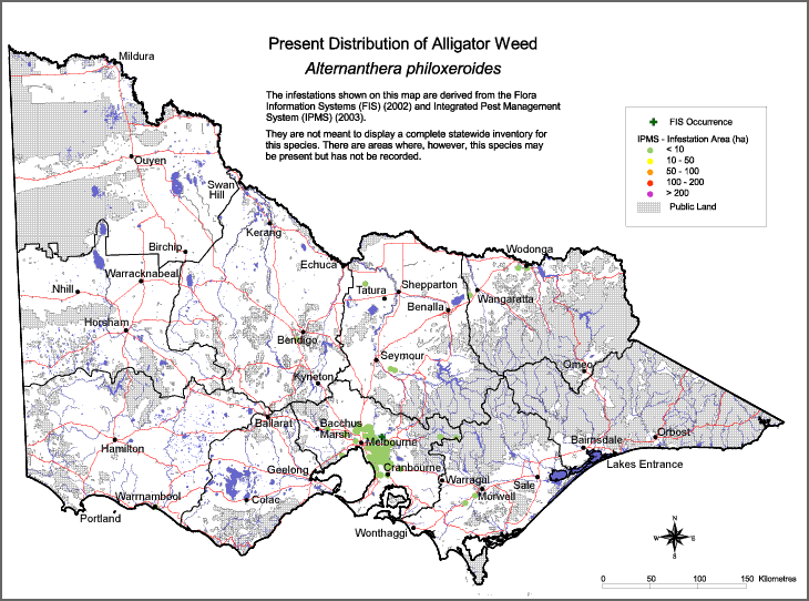 Map:  Present distribution - Alligator Weed