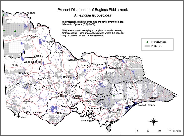Map:  Present distribution - Amsinckia - Bugloss Fiddleneck