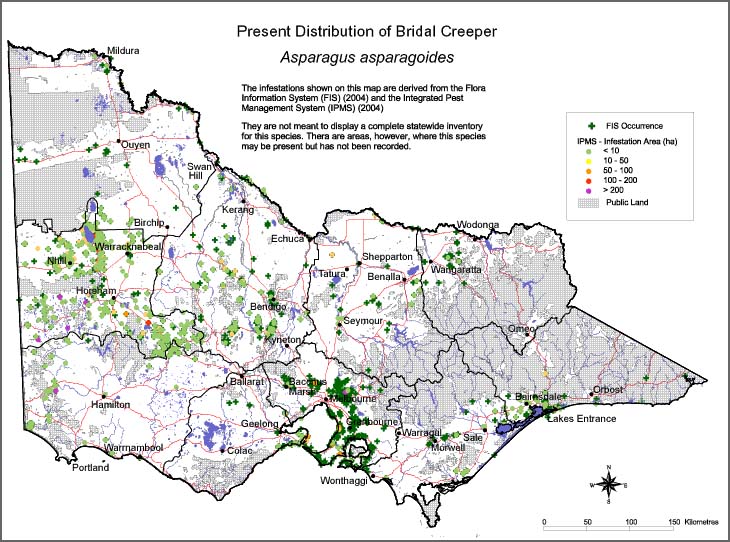 Map:  Present distribution - Bridal Creeper