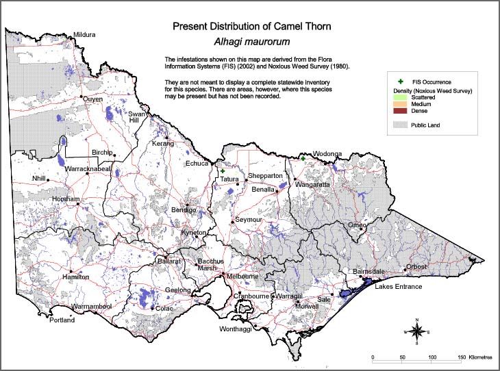 Map:  Present distribution - Camelthorn