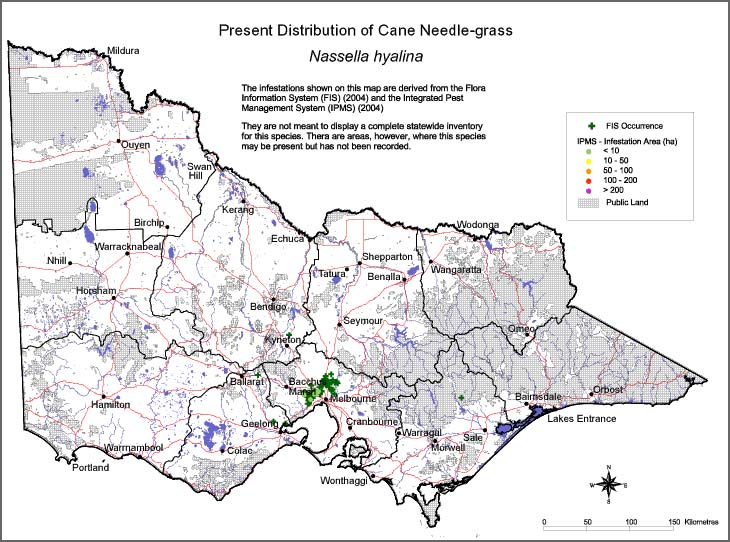 Map:  Present distribution - Cane Needlegrass