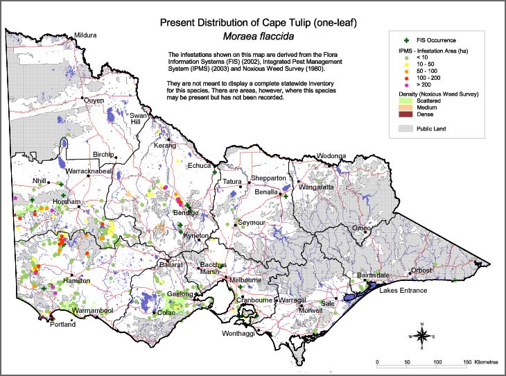 Map:  Present distribution - Cape Tulip - One Leaf