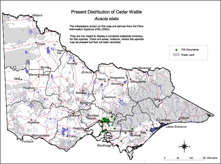 Map:  Present distribution - Cedar Wattle