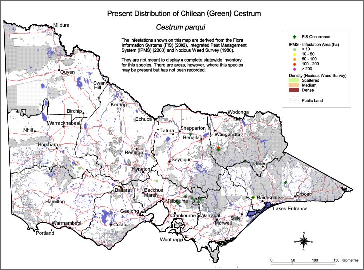 Map:  Present distribution - Chilean (Green) Cestrum