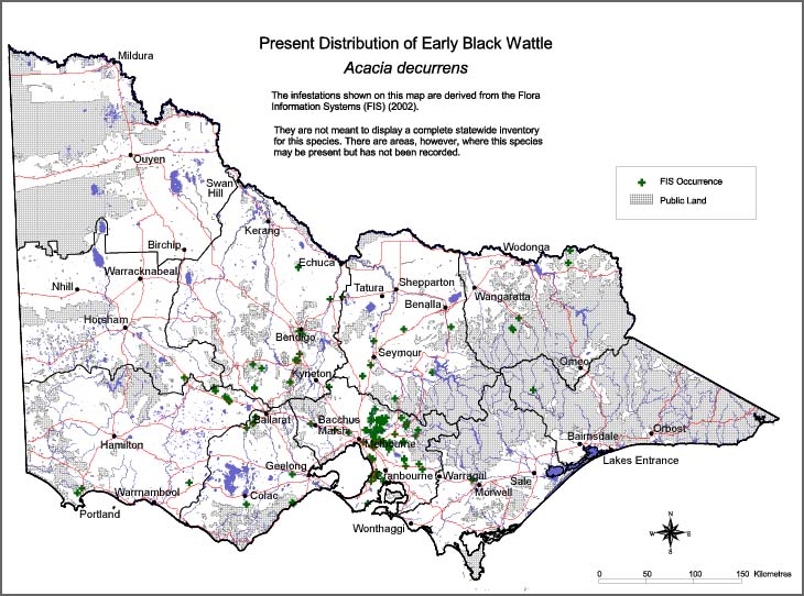 Map:  Present distribution - Early Black Wattle